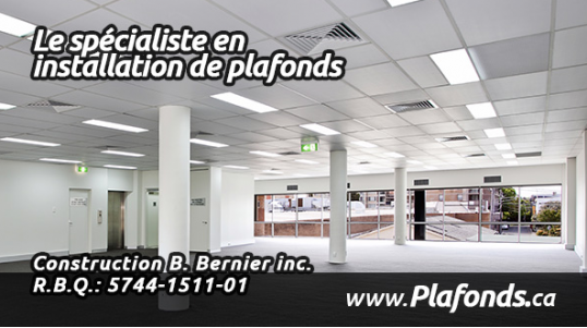 Installateur de plafonds suspendus standards ou acoustiques Plafonds de gypse Faux plafonds décoratifs Plafonds de tuiles. Soumission Gratuite